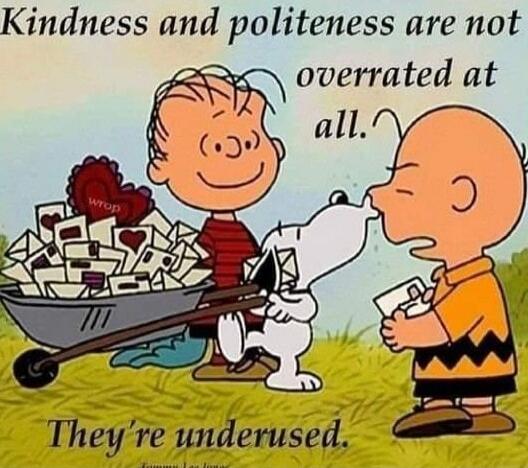 Kindness and politeness are not overrated at all. They're underused.