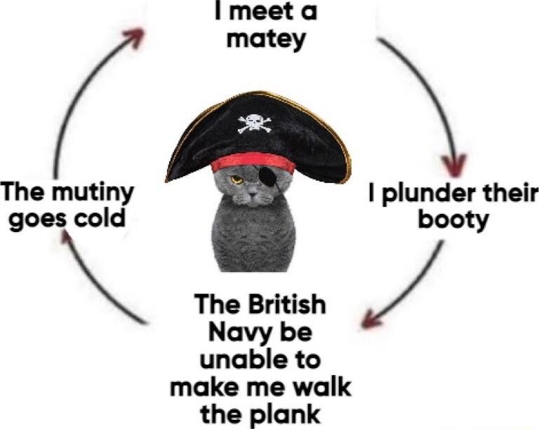 matey The mutiny plunder their goes cold booty The British Navy be unable to make me walk the plank