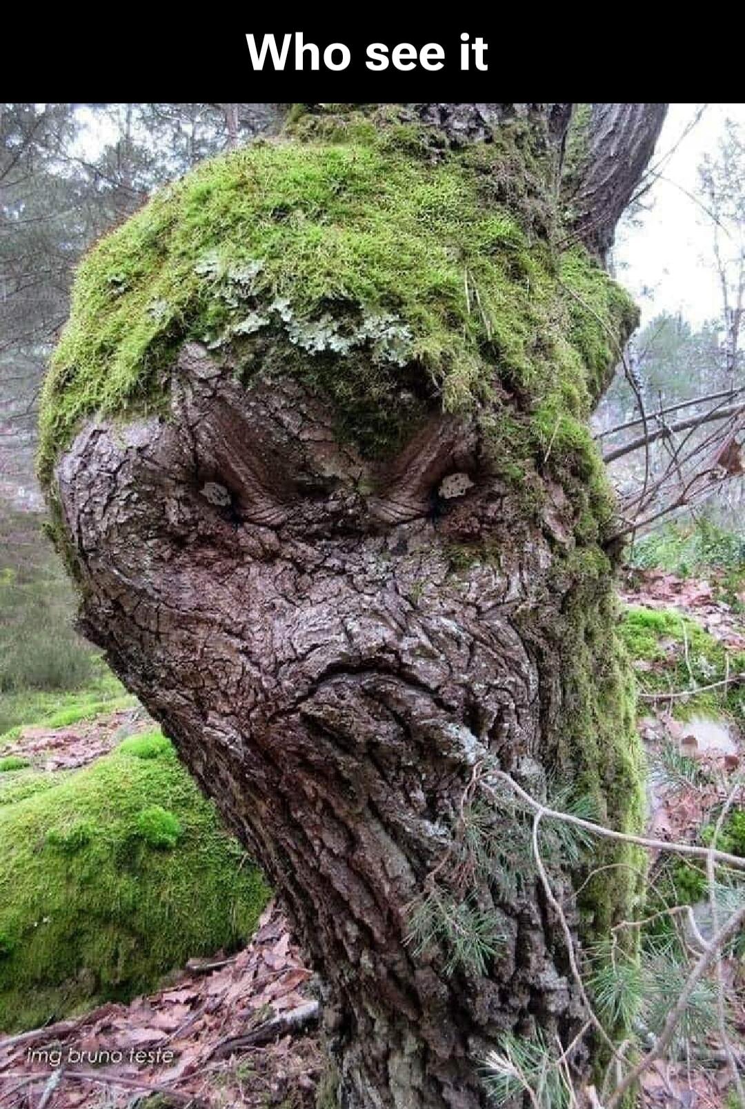 Who see it img bruno teste