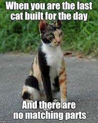 When you are the last cat built for the day AWl therelare nomatchingparts