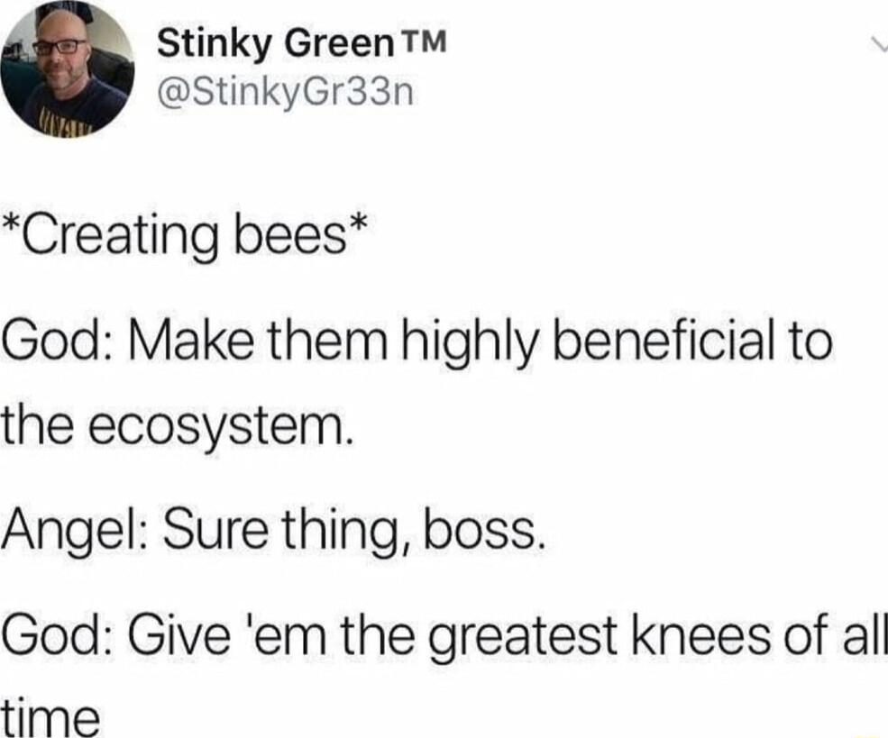 Stinky Green StinkyGr33n Creating bees God Make them highly beneficial to the ecosystem Angel Sure thing boss God Give em the greatest knees of all time