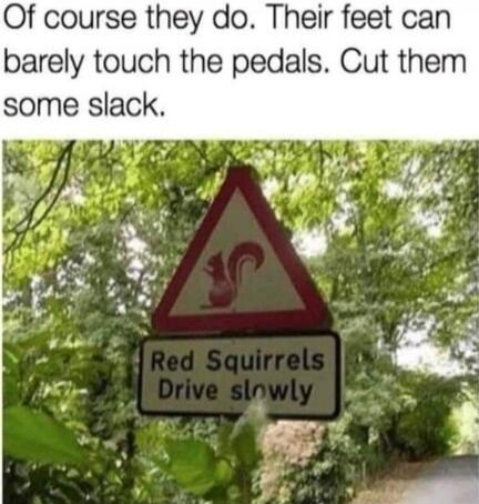 Of course they do. Their feet can barely touch the pedals. Cut them some slack. Red Squirrels Drive slowly