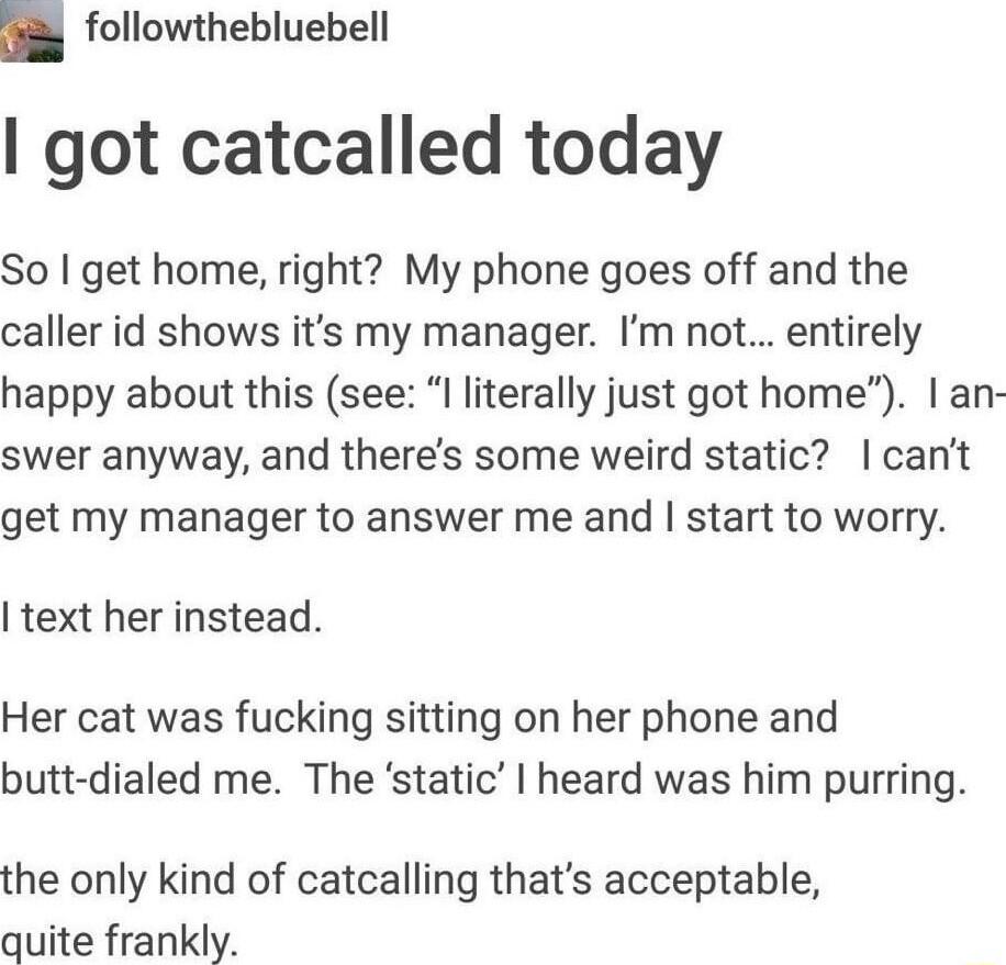 i followthebluebell got catcalled today So get home right My phone goes off and the caller id shows its my manager Im not entirely happy about this see literally just got home an swer anyway and theres some weird static cant get my manager to answer me and start to worry text her instead Her cat was fucking sitting on her phone and butt dialed me The static heard was him purring the only kind of c