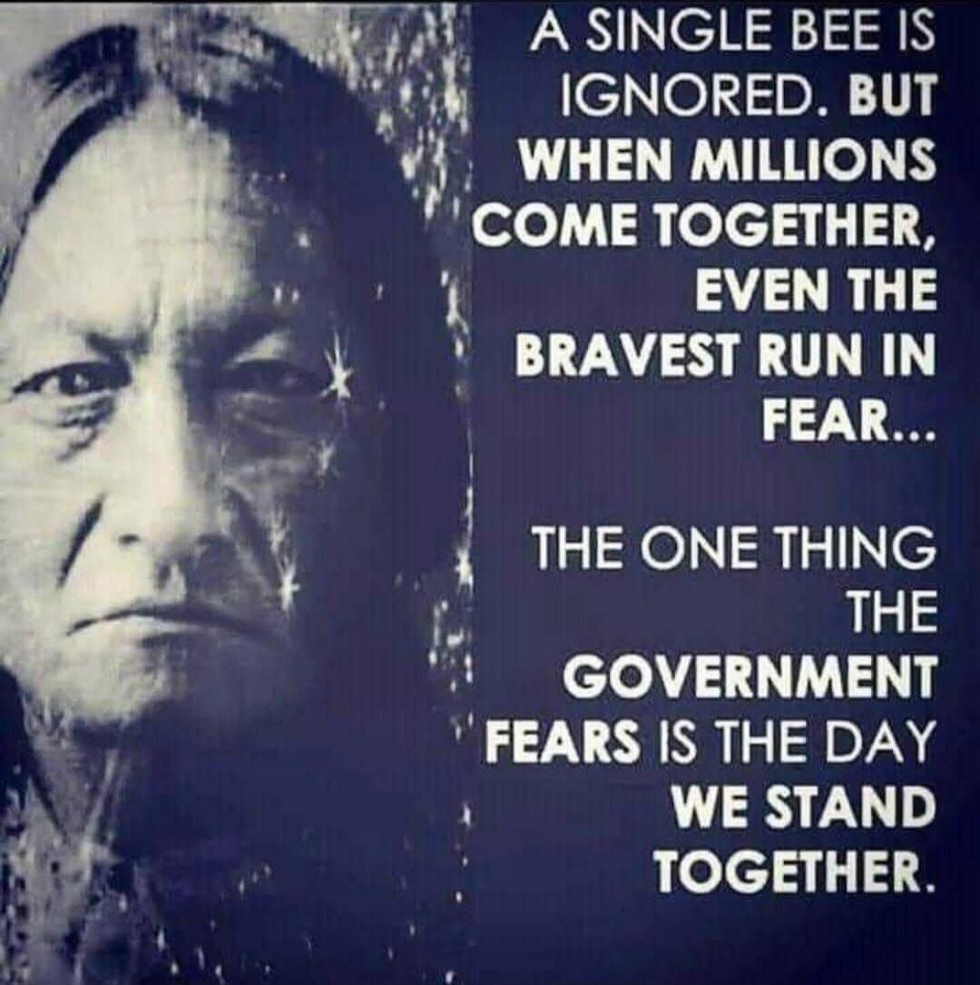 A SINGLE BEE IS IGNORED. BUT WHEN MILLIONS COME TOGETHER, EVEN THE BRAVEST RUN IN FEAR... THE ONE THING THE GOVERNMENT FEARS IS THE DAY WE STAND TOGETHER.