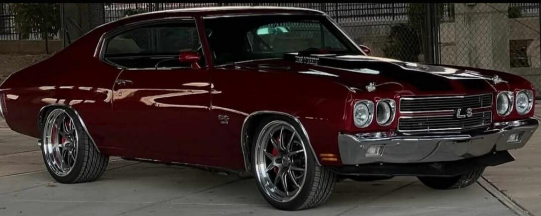 SS LS