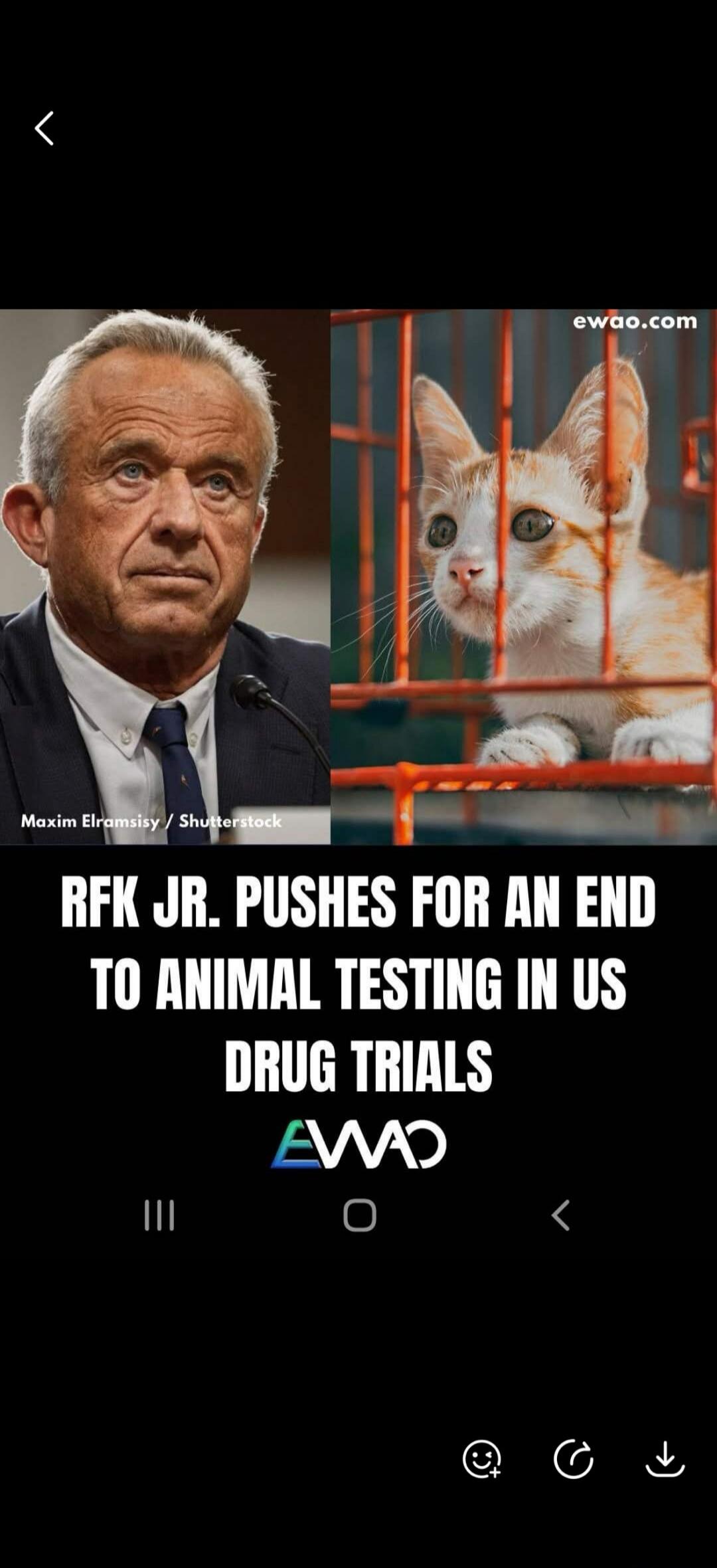 RFK JR. PUSHES FOR AN END TO ANIMAL TESTING IN US DRUG TRIALS. Maxim Elramsisy / Shutterstock. ewao.com