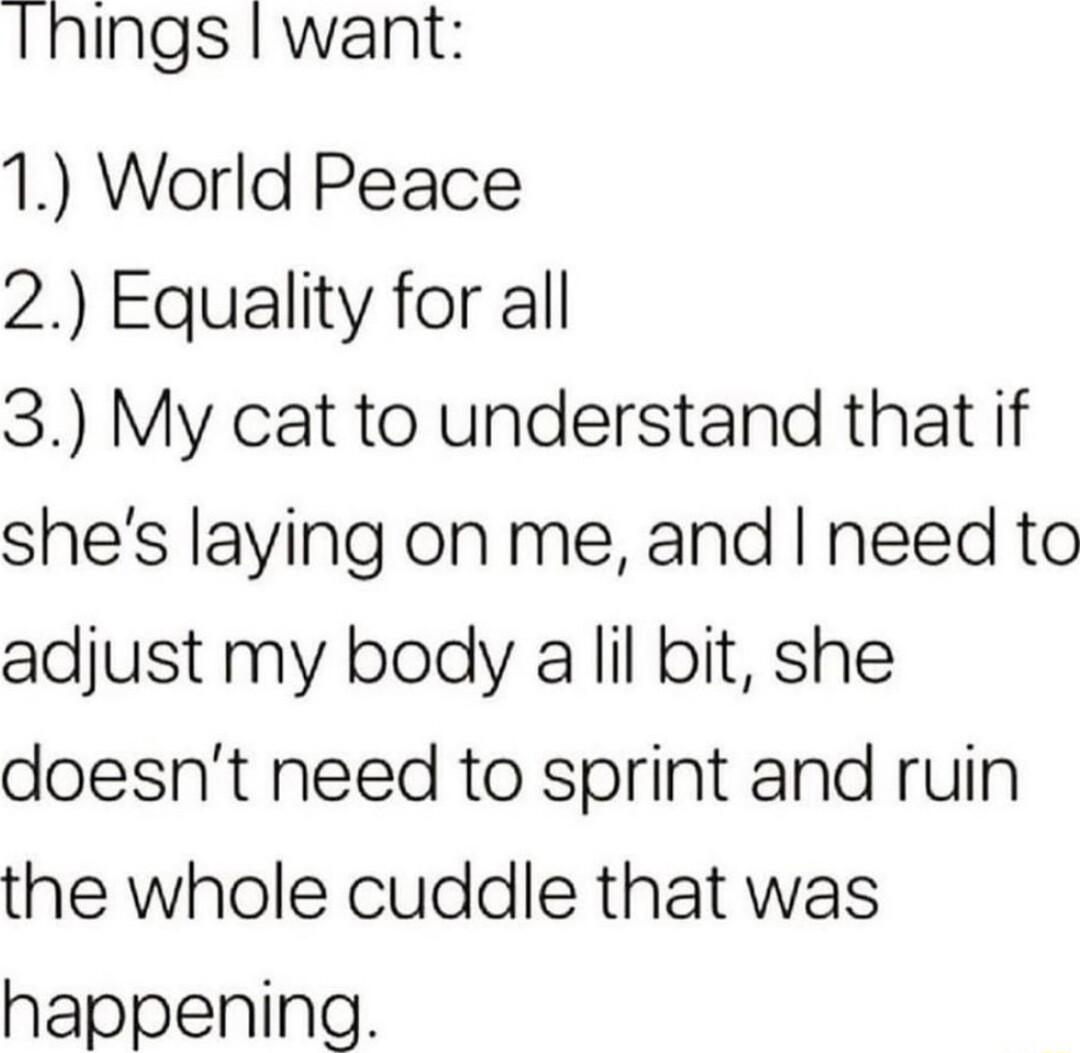 Inings I want 1 World Peace 2 Equality for all 3 My cat to understand that if shes laying on me and need to adjust my body a lil bit she doesnt need to sprint and ruin the whole cuddle that was happening
