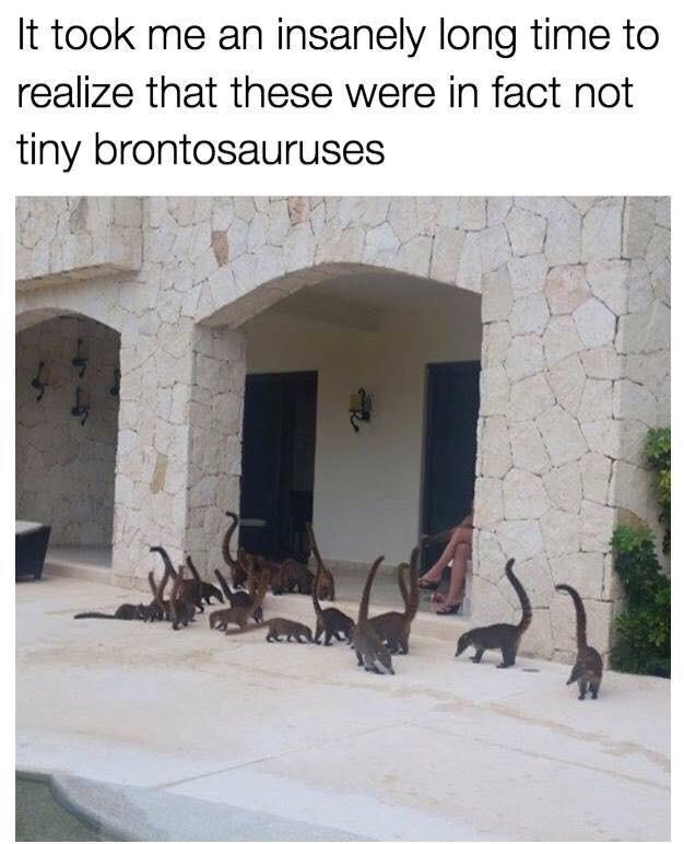 It took me an insanely long time to realize that these were in fact not tiny brontosauruses