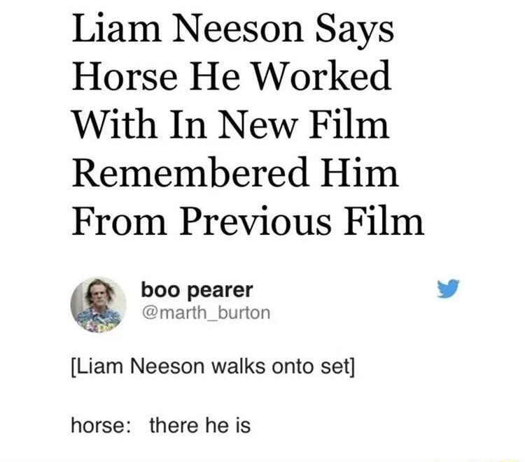 Liam Neeson Says Horse He Worked With In New Film Remembered Him From Previous Film boo pearer v marth_burton Liam Neeson walks onto set horse there he is