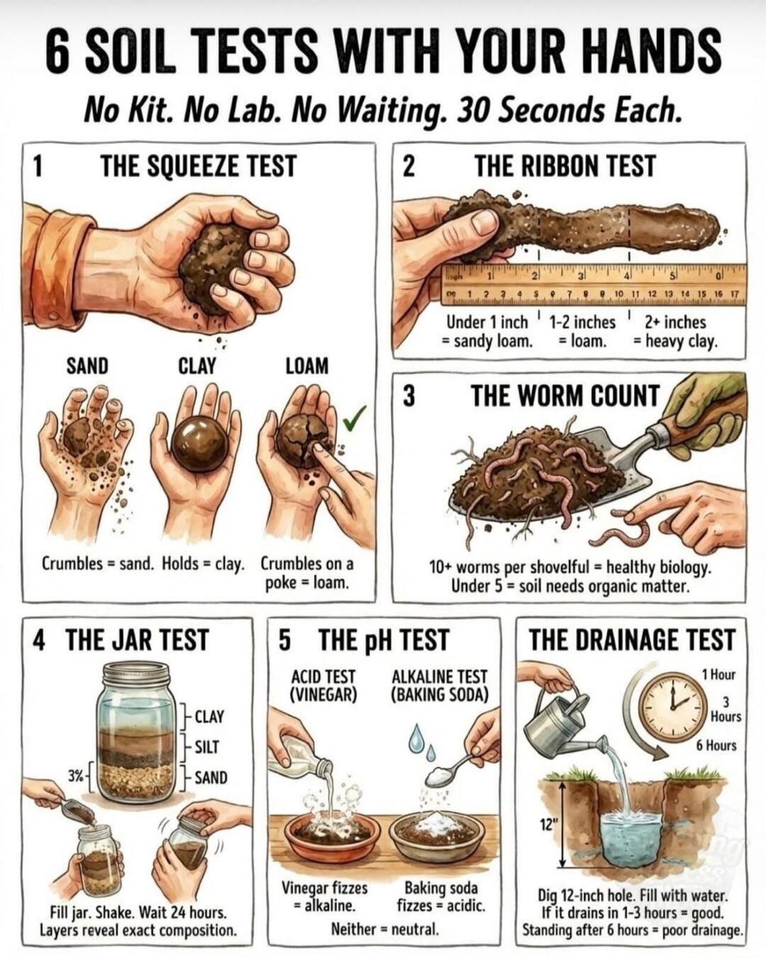 6 Soil Tests With Your Hands. No Kit. No Lab. No Waiting. 30 Seconds Each. 1. The Squeeze Test: Sand crumbles. Clay holds. Loam crumbles on a poke. 2. The Ribbon Test: Under 1 inch is sandy loam. 1-2 inches is loam. 2+ inches is heavy clay. 3. The Worm Count: 10+ worms per shovelful indicates healthy biology. Under 5 means soil needs organic matter