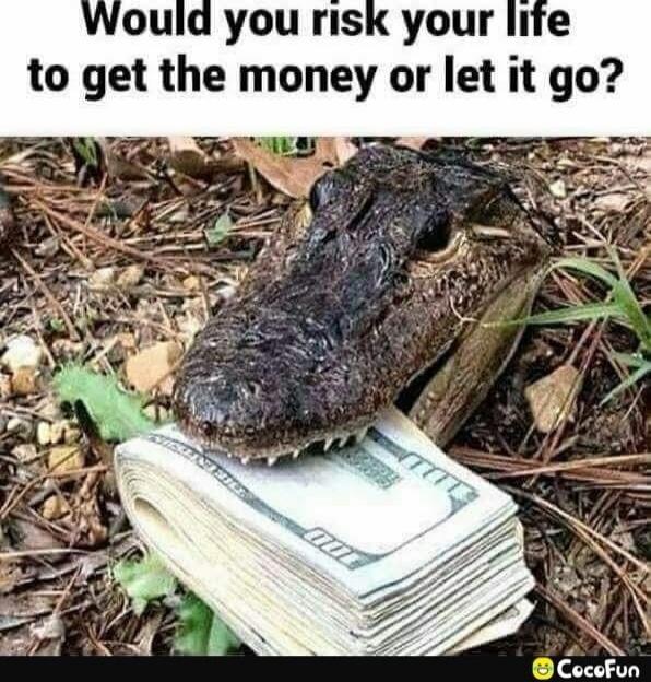 Would you risk your life to get the money or let it go?
