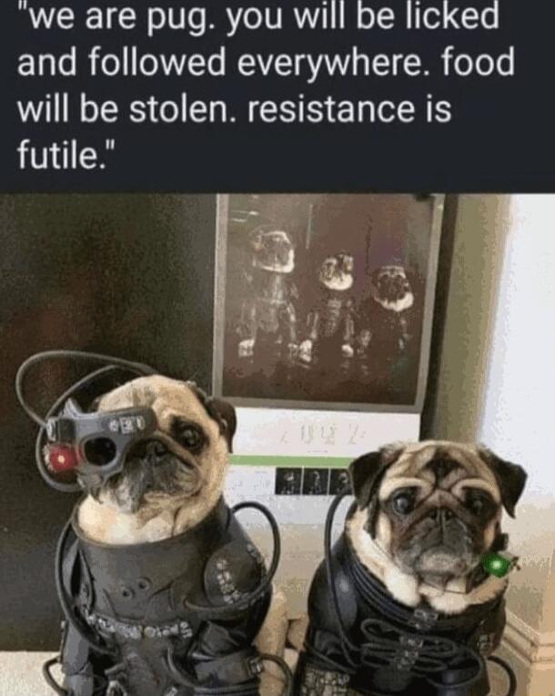 VLR R o1V o IRYo1VIRWY o TN 0 To and followed everywhere food will be stolen resistance is futile L Y J 2 N e AW 7 i LA g Py o N s