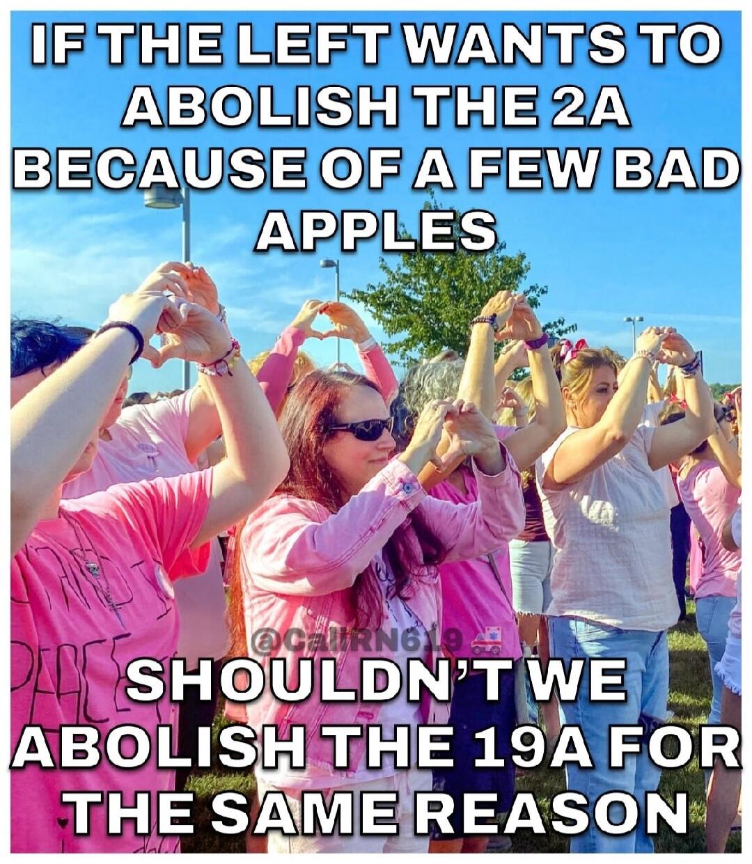 IF THE LEFT WANTS TO ABOLISH THE 2A BECAUSE OF A FEW BAD APPLES SHOULDN'T WE ABOLISH THE 19A FOR THE SAME REASON