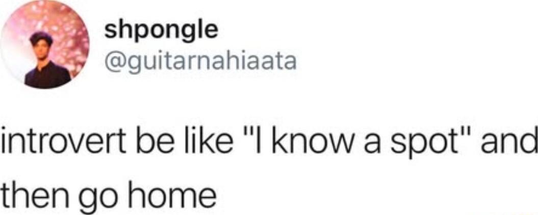 shpongle guitarnahiaata introvert be like l know a spot and then go home