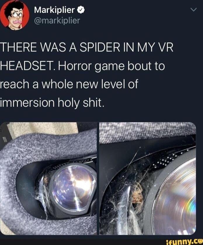 Markiplier N markiplier THERE WAS A SPIDER IN MY VR HEADSET Horror game bout to reach a whole new level of immersion holy shit LEUNNYC