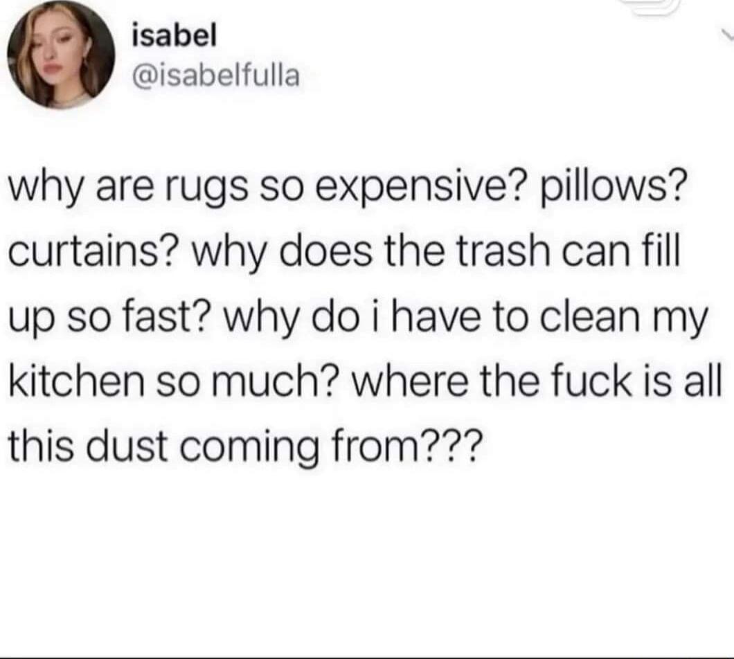isabel isabelfulla why are rugs so expensive pillows curtains why does the trash can fill up so fast why do i have to clean my kitchen so much where the fuck is all this dust coming from
