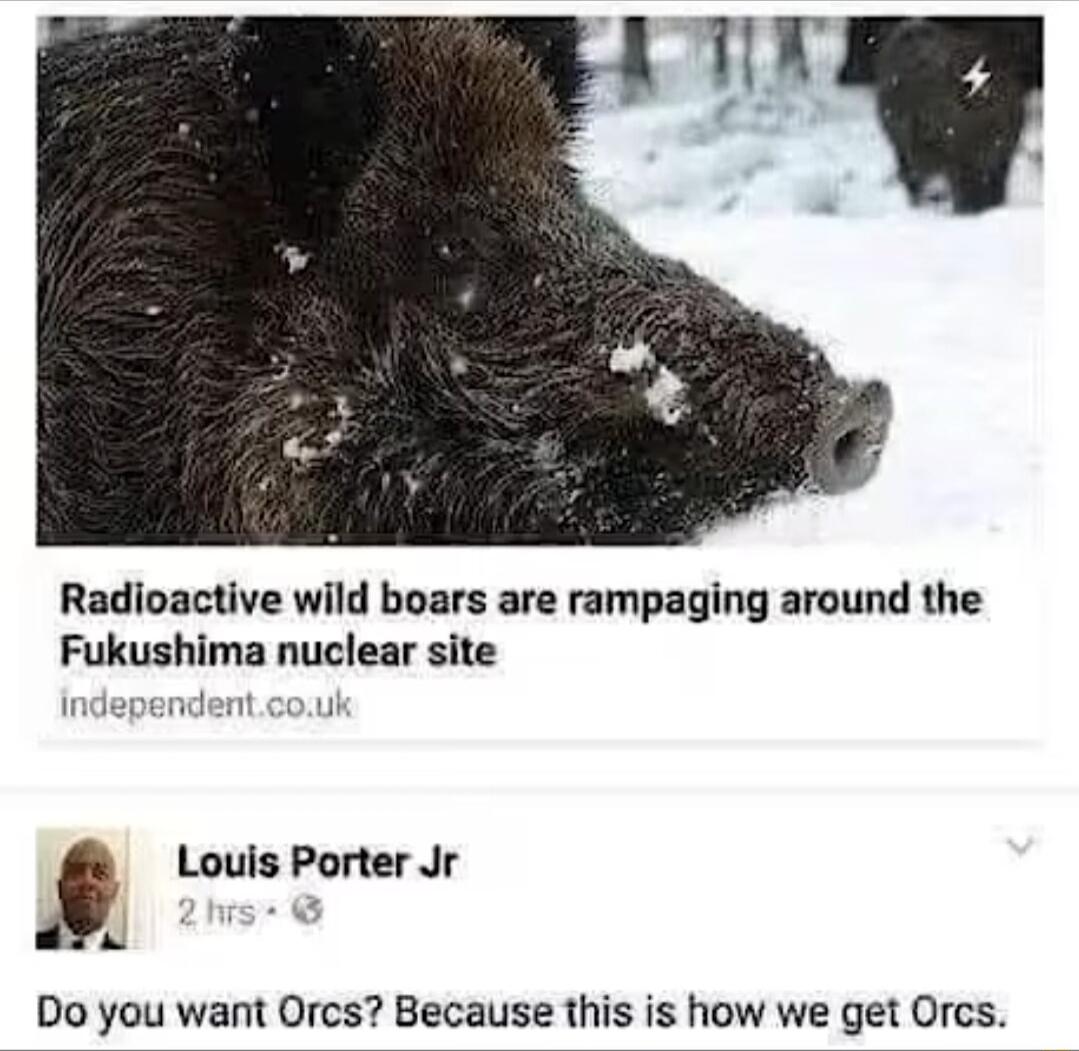 Radioactive wild boars are rampaging around the Fukushima nuclear site Louis Porter Jr A 3 Do you want Ores Because this is how we get Ores