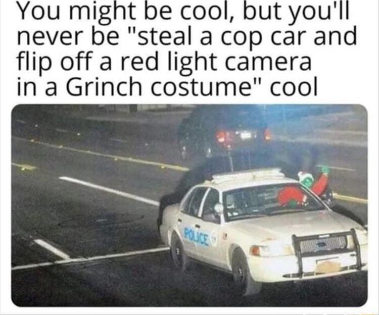 never be steal a cop car and flip off a red light camera in a Grinch costume cool
