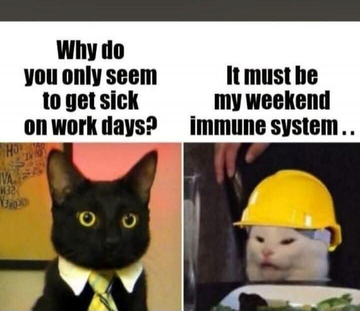 Why do you only seem to get sick on work days? It must be my weekend immune system ..
