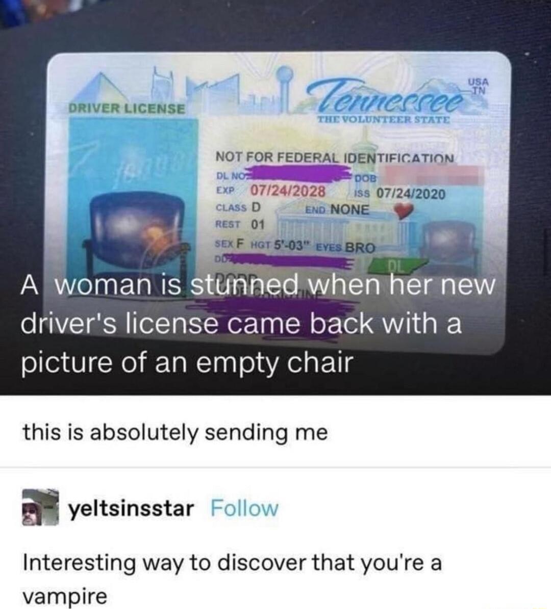 ORIVER LICENSE 44 0772412020 Alwoman is stunned whenthernew drivers license came back with a picture of an empty chair this is absolutely sending me 3 yeltsinsstar Interesting way to discover that youre a vampire