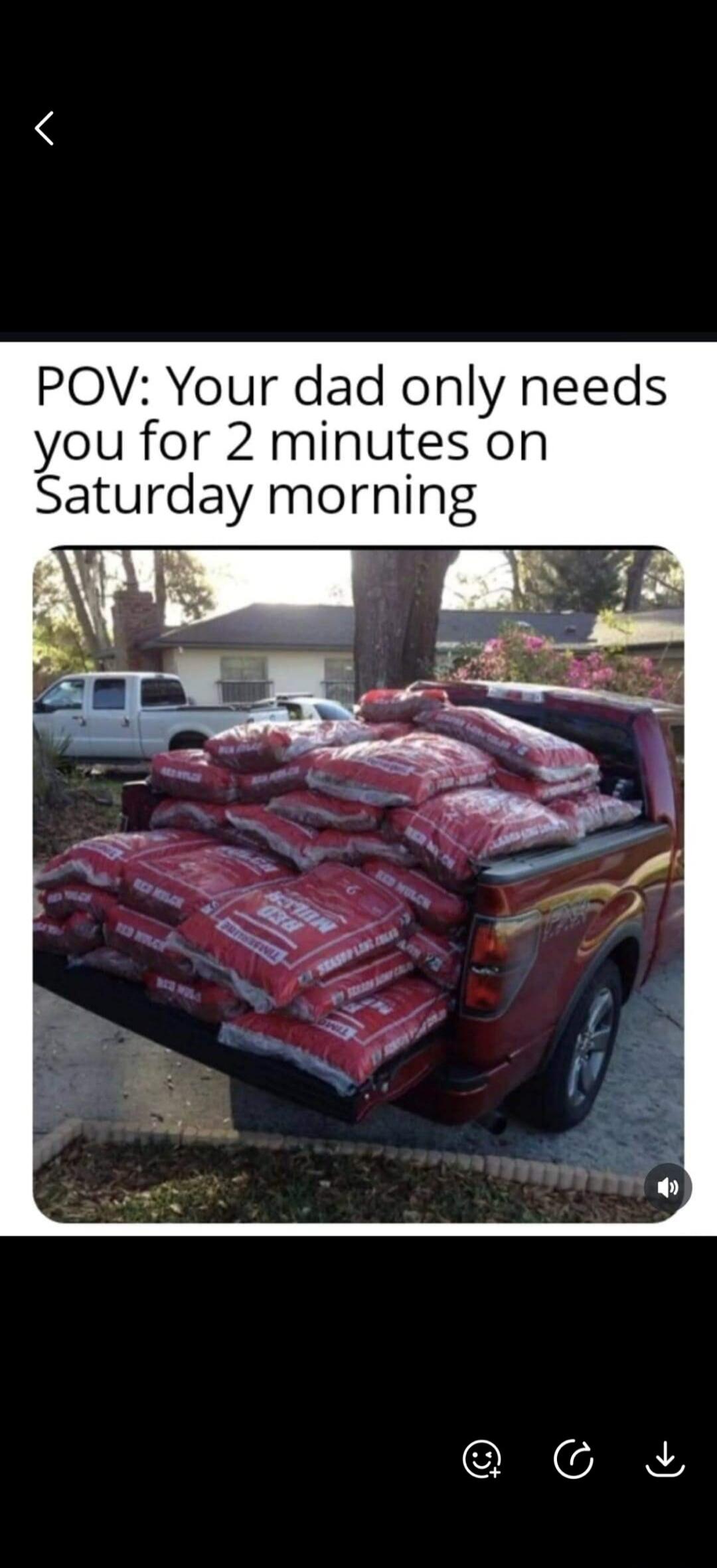 POV: Your dad only needs you for 2 minutes on Saturday morning