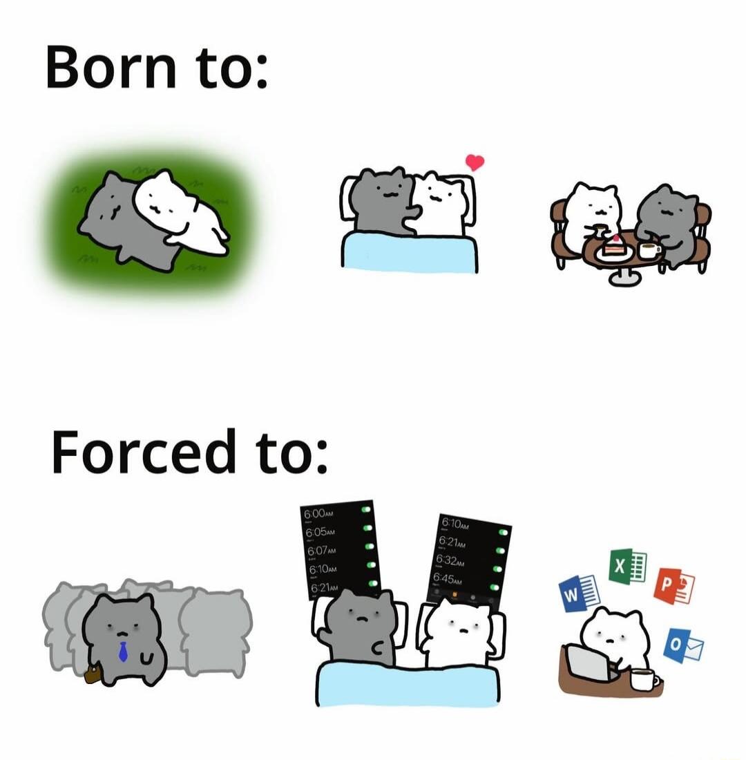 Born to: Two cats cuddling on grass, in bed, and having coffee. Forced to: A cat in a suit with a briefcase, two cats waking up to multiple early morning alarms (6:00 AM, 6:05 AM, 6:07 AM, 6:10 AM, 6:21 AM, 6:32 AM, 6:45 AM), and a cat working on a laptop with Microsoft Office applications (Word, Excel, PowerPoint, Outlook).