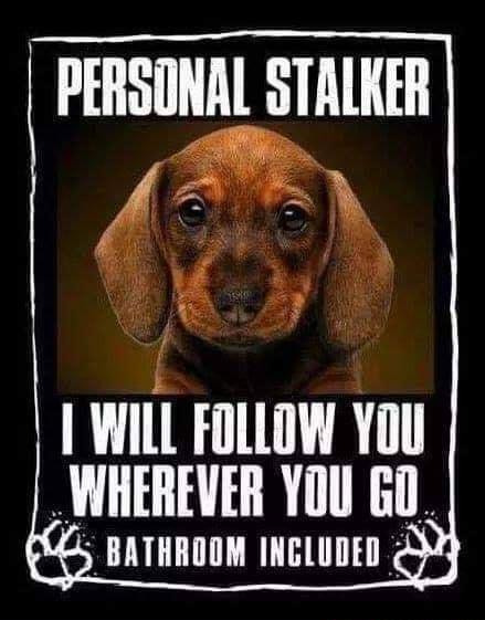 PERSONAL STALKER WILL FOLLOW You IWHEREVER YU GO S BATHROOM INGLUDED