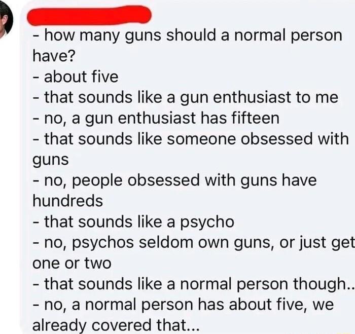 how many guns should a normal person have about five that sounds like a gun enthusiast to me no a gun enthusiast has fifteen that sounds like someone obsessed with guns no people obsessed with guns have hundreds that sounds like a psycho no psychos seldom own guns or just get one or two that sounds like a normal person though no a normal person has about five we already covered that