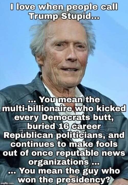 I love when people call Trump Stupid... ... You mean the multi-billionaire who kicked every Democrats butt, buried 16 career Republican politicians, and continues to make fools out of once reputable news organizations ... ... You mean the guy who won the presidency?