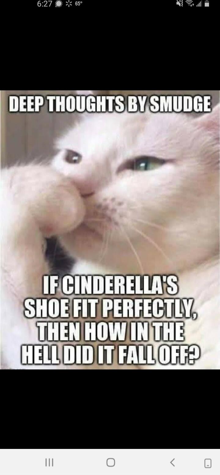 DEEP THOUGHTS BY SMUDGE IF CINDERELLA'S SHOE FIT PERFECTLY, THEN HOW IN THE HELL DID IT FALL OFF?