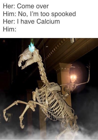 Her Come over Him No Im too spooked Her have Calcium Him