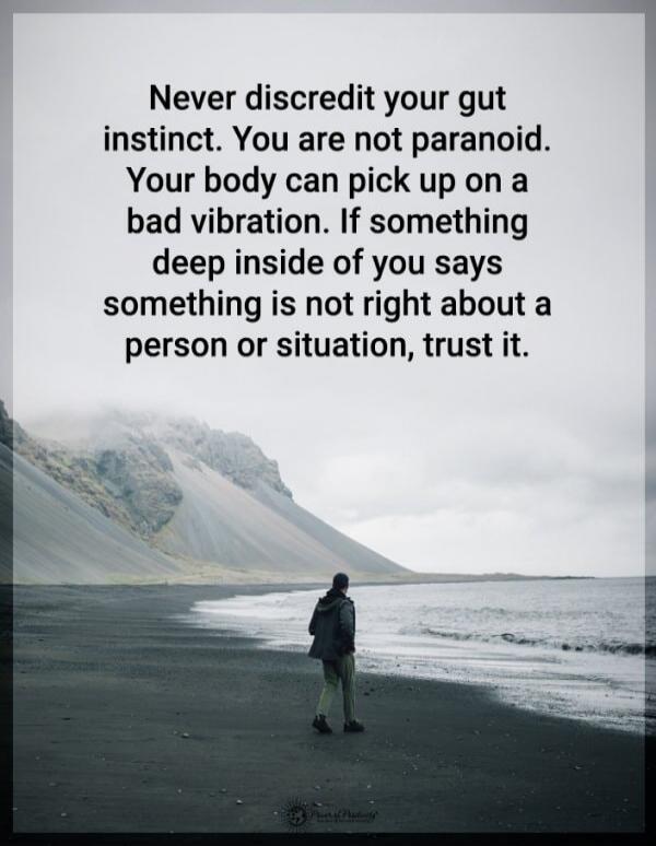 Never discredit your gut instinct. You are not paranoid. Your body can pick up on a bad vibration. If something deep inside of you says something is not right about a person or situation, trust it.