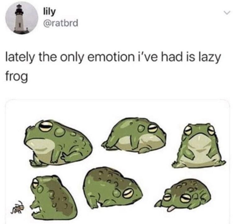 lily ratbrd lately the only emotionive had is lazy frog