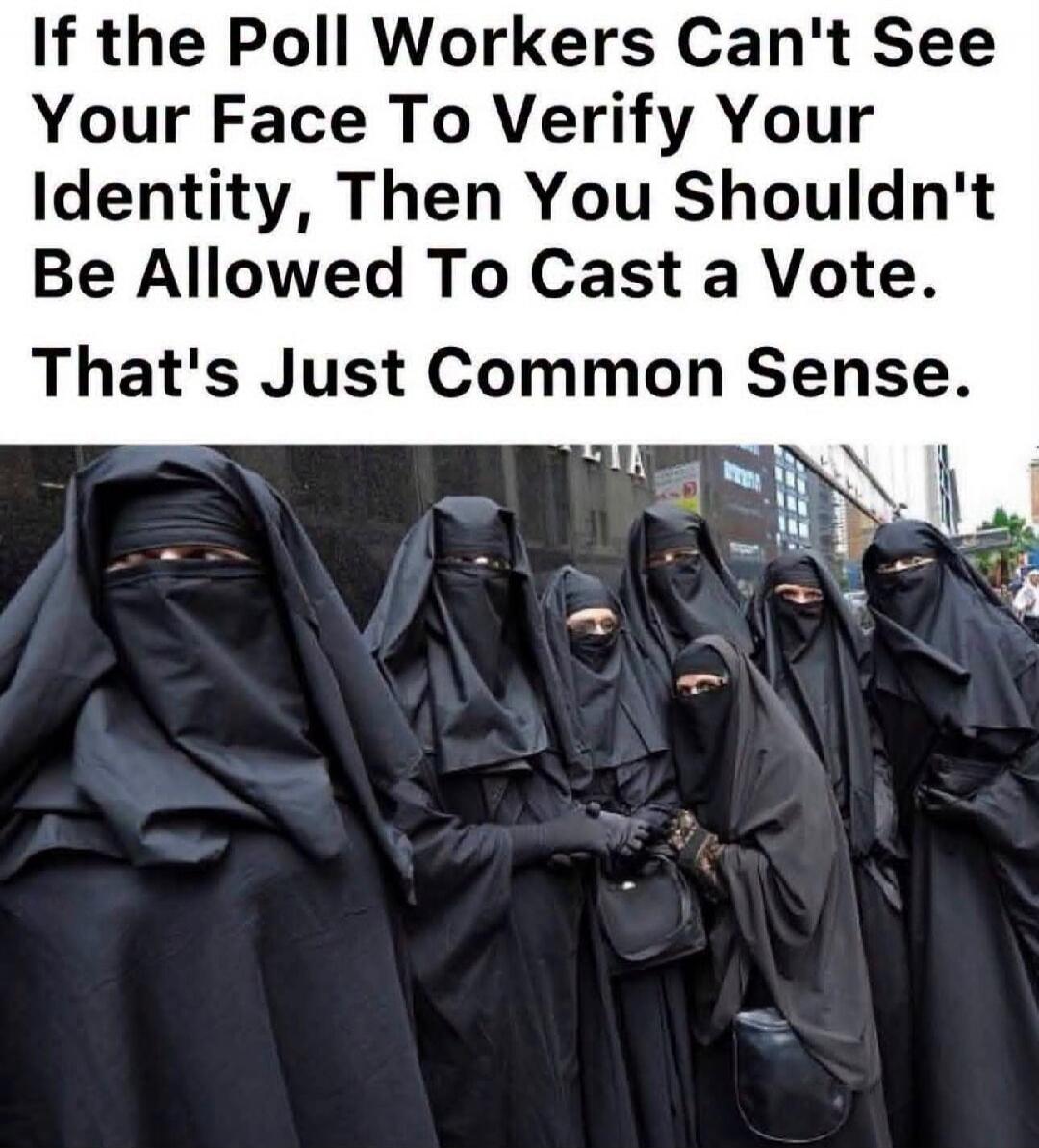 If the Poll Workers Can't See Your Face To Verify Your Identity, Then You Shouldn't Be Allowed To Cast a Vote. That's Just Common Sense.