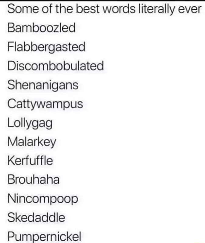 Some of the best words literally ever Bamboozled Flabbergasted Discombobulated Shenanigans Cattywampus Lollygag Malarkey Kerfuffle Brouhaha Nincompoop Skedaddle Pumpernickel