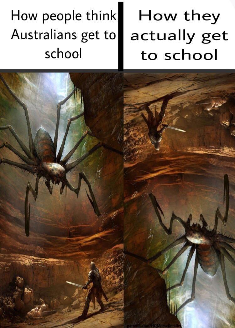 How people think How they Australians get tofl actually get school to school