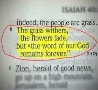 indeed, the people are grass. The grass withers, the flowers fade, but the word of our God remains forever. Zion, herald of good news,