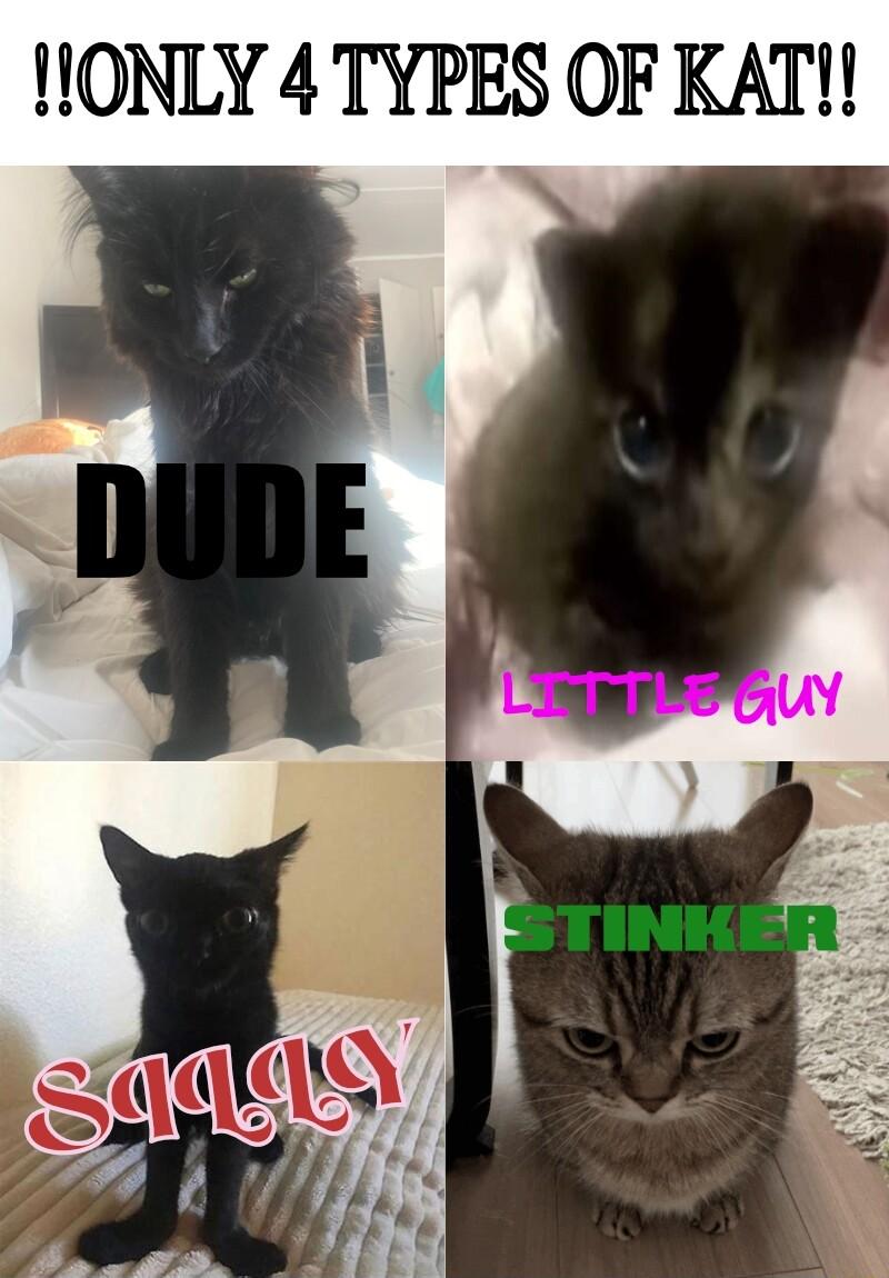 IONLY 4 TYPES OF KAT