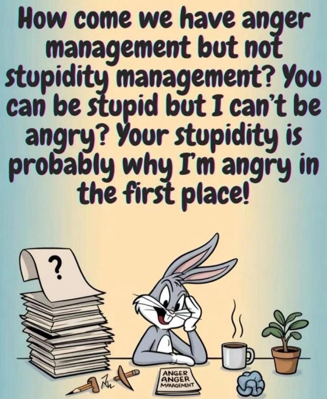 How come we have anger management but not stupidity management? You can be stupid but I can't be angry? Your stupidity is probably why I'm angry in the first place! ANGER ANGER MANAGEMENT
