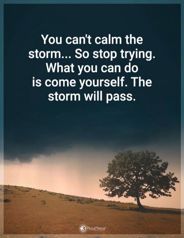 You can't calm the storm... So stop trying. What you can do is come yourself. The storm will pass.