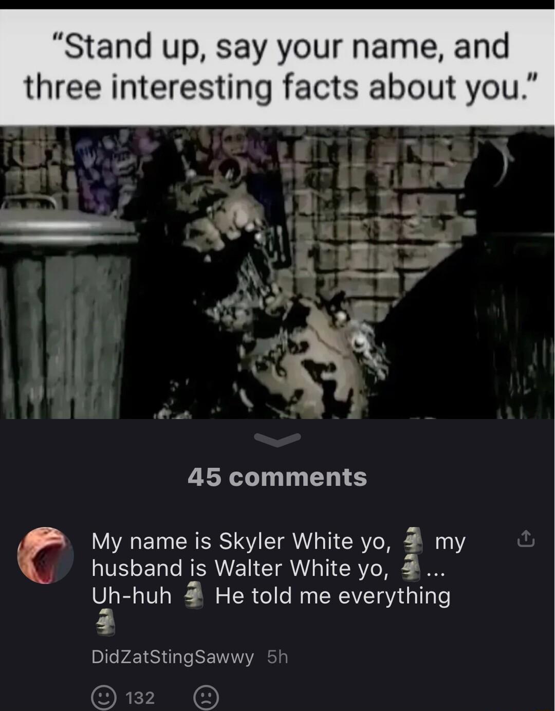 Stand up say your name and three interesting facts about you 45 comments My name is Skyler White yo 1 VELEDT is Walter White yo 4 Lhhuh 4 He told me everything Ed DidZatSting