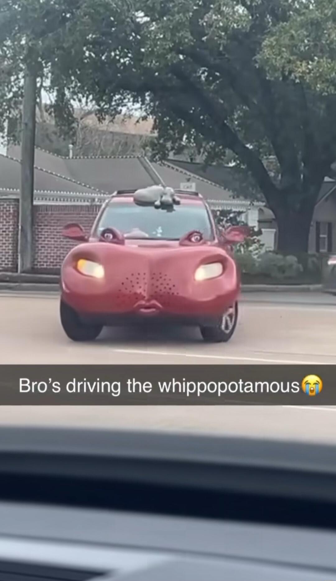 Bros driving the whippopotamous