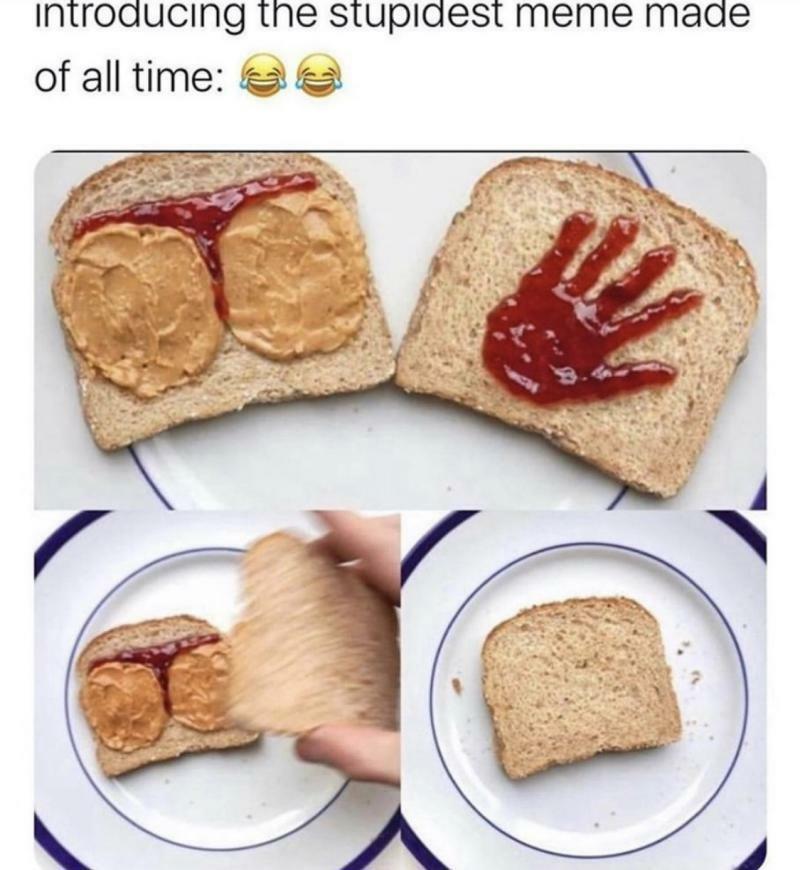 INtroaucing tne stupiagest meme made of all time