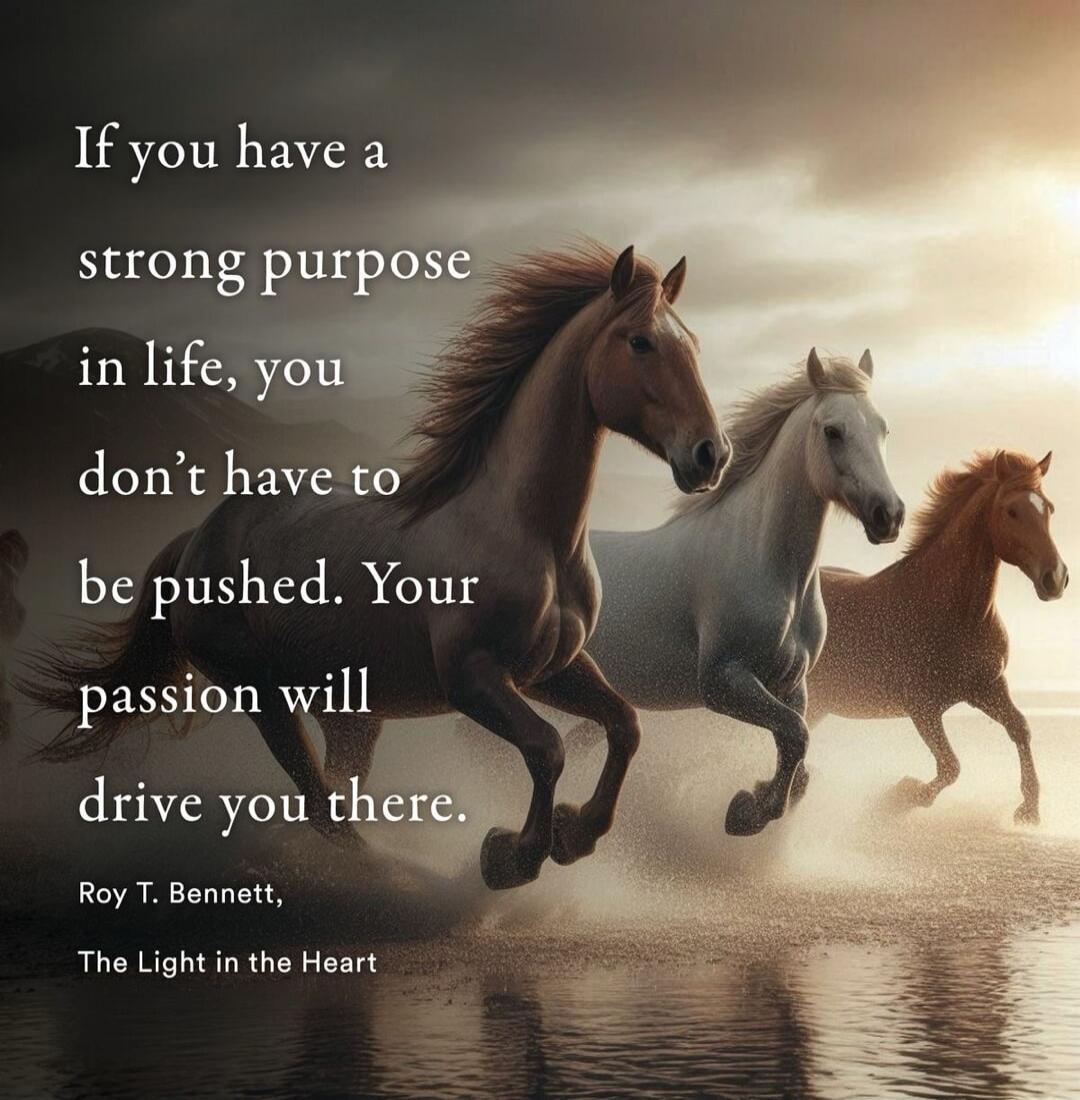 If you have a strong purpose in life, you don't have to be pushed. Your passion will drive you there. Roy T. Bennett, The Light in the Heart