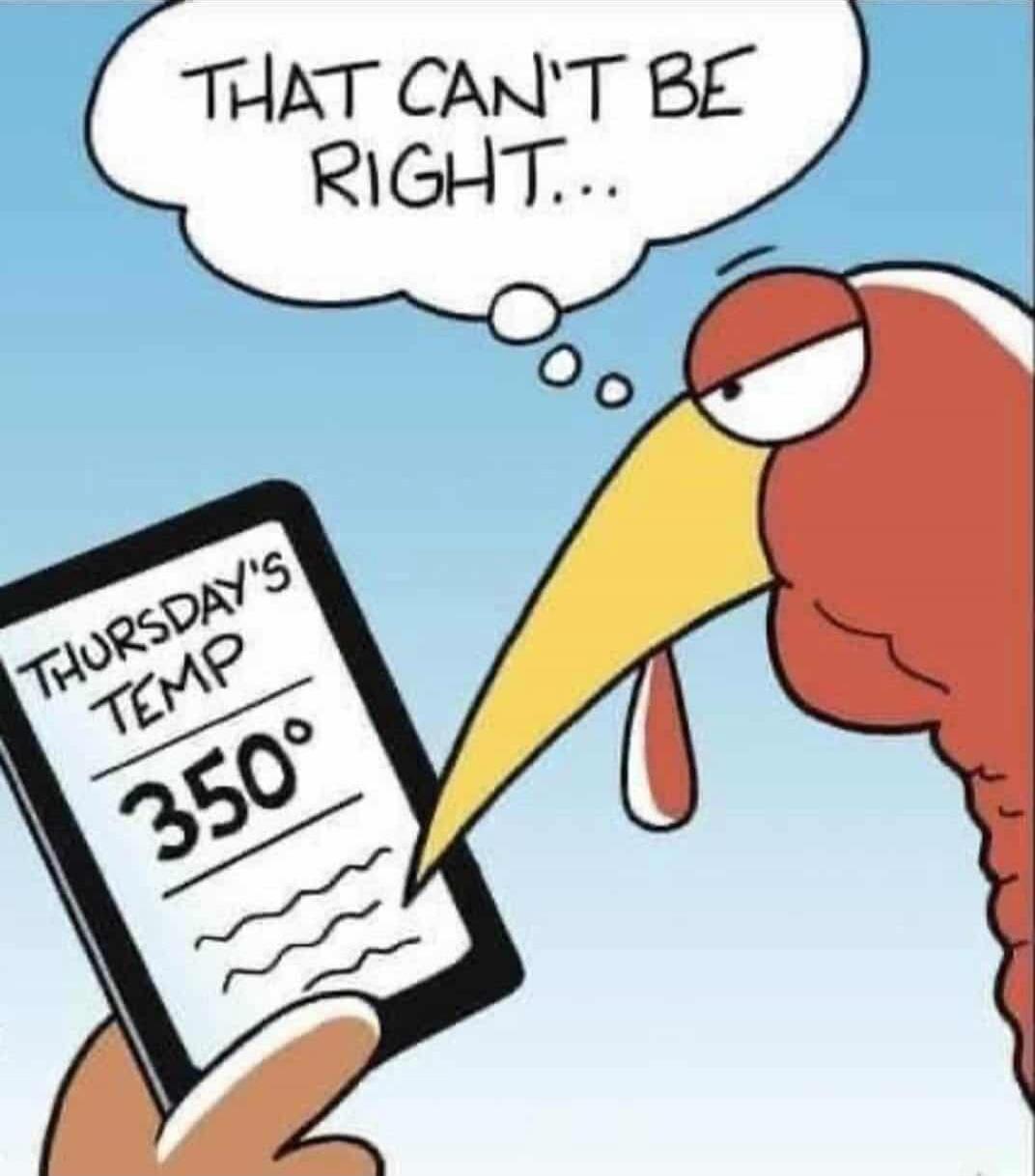 THURSDAY'S TEMP 350°
That can't be right...