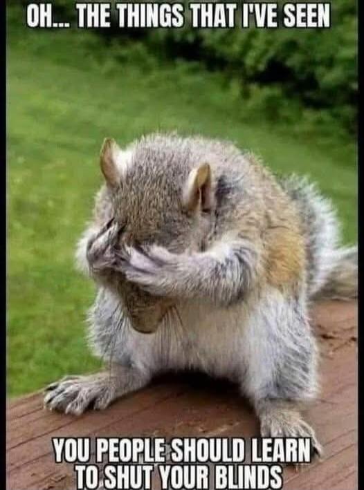 OH... THE THINGS THAT I'VE SEEN
YOU PEOPLE SHOULD LEARN TO SHUT YOUR BLINDS