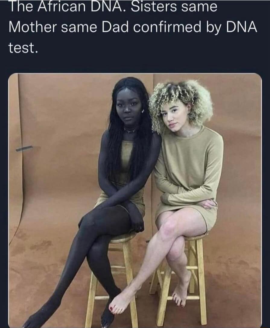 Mother same Dad eleTaNilgnITe NOADINAY test