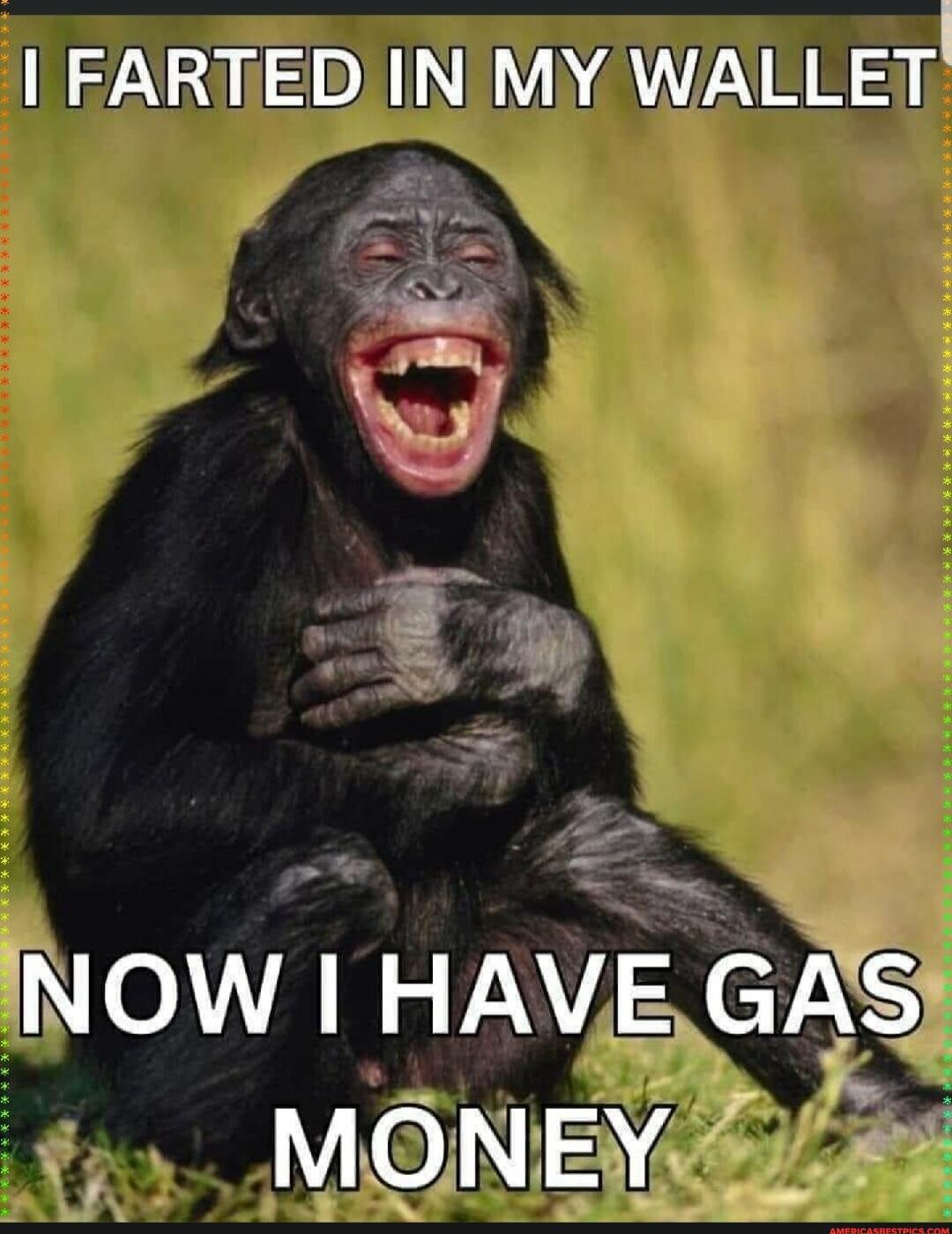 I FARTED IN MY WALLET
NOW I HAVE GAS MONEY