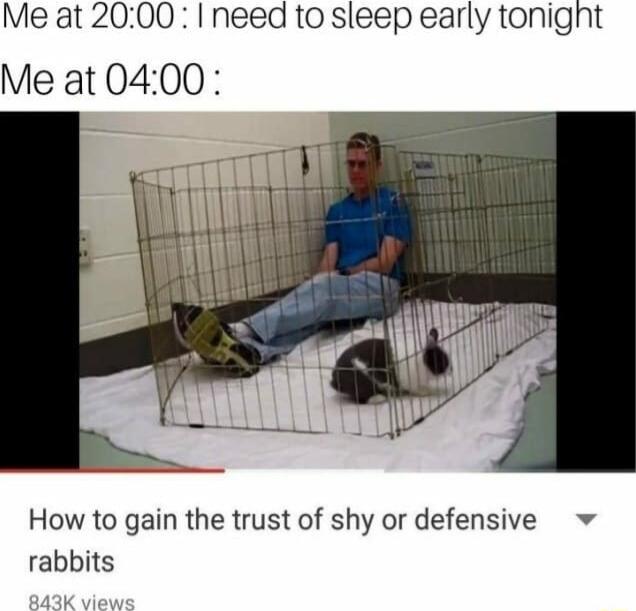 Me at 2000 I need to sleep early tonight Me at 0400 How to gain the trust of shy or defensive rabbits
