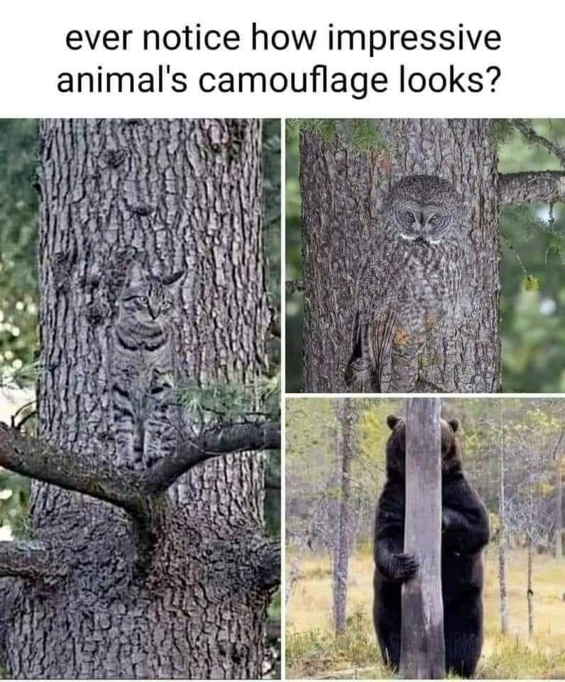 ever notice how impressive